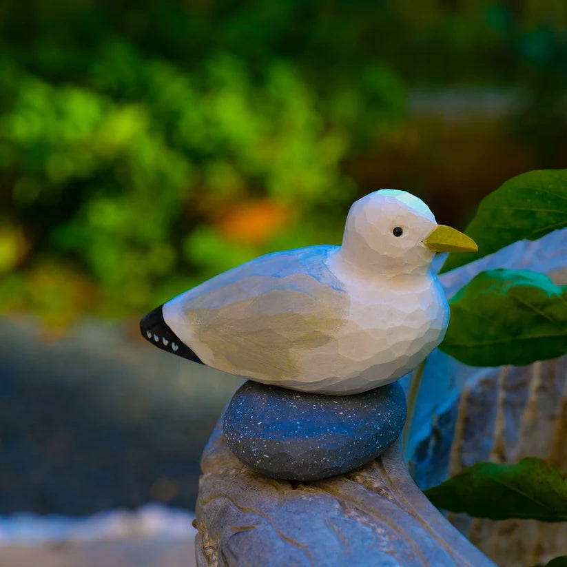 Gull