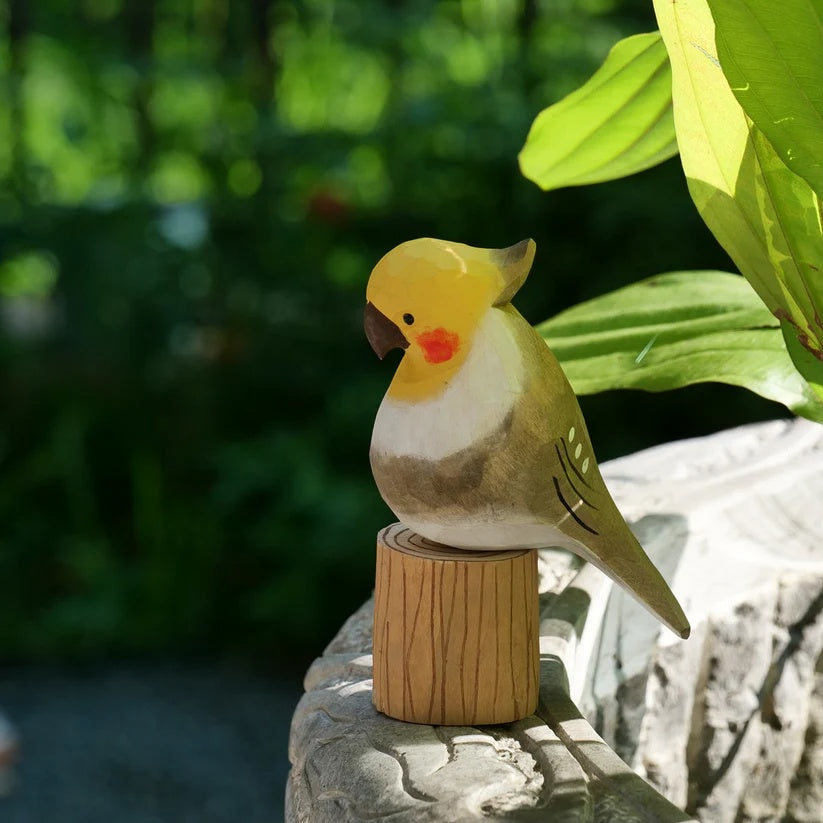 Grey Cockatiel