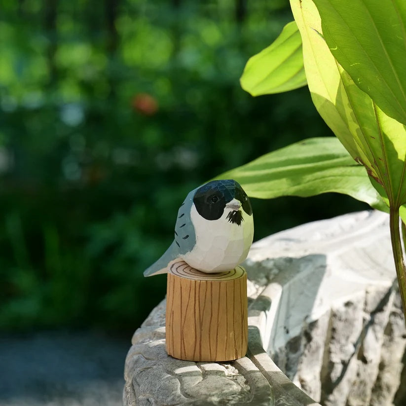Chickadee