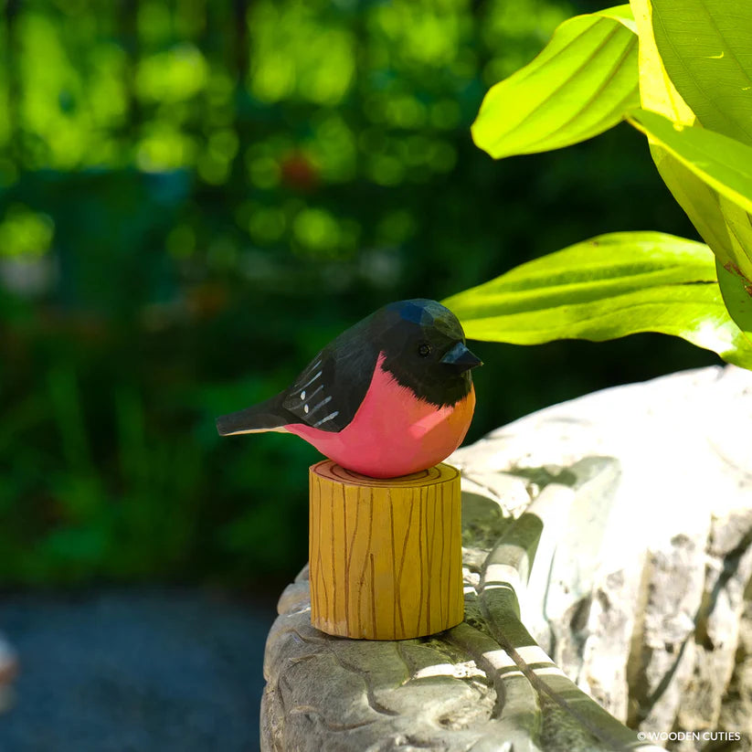 Pink Robin