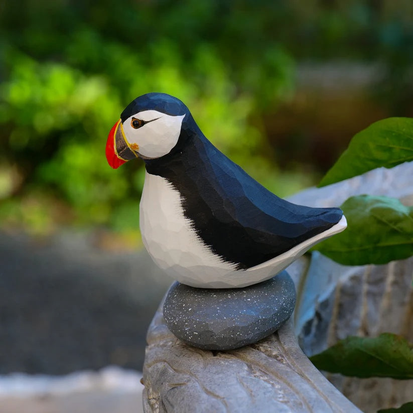 Puffin