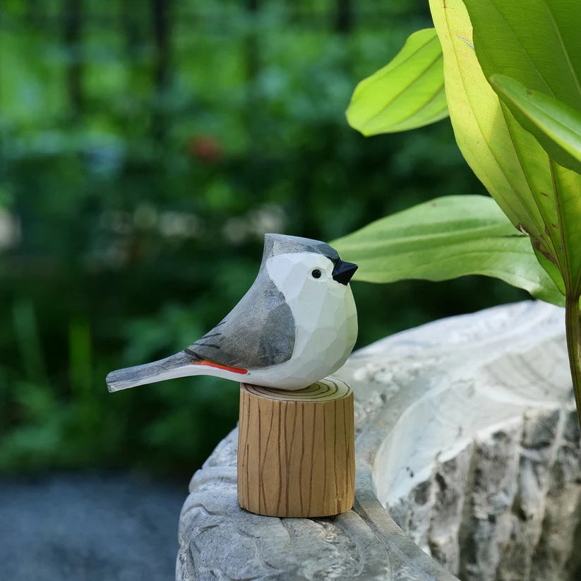 Tufted Titmouse