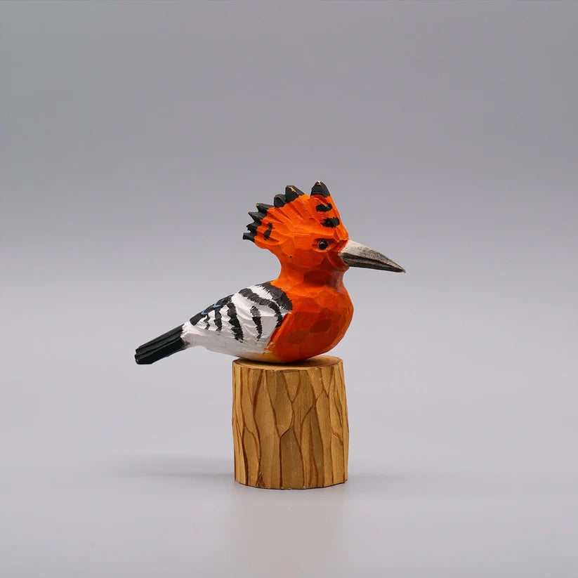 Hoopoe