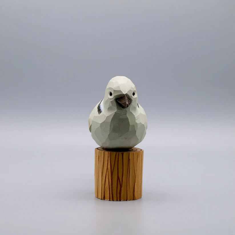Dove