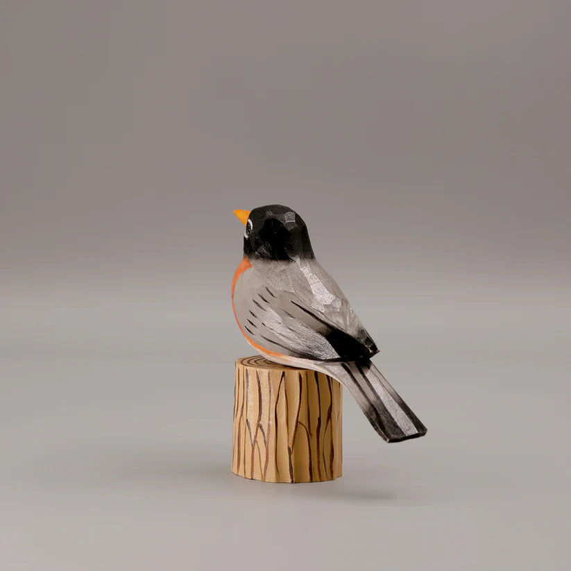 American Robin+ Stand