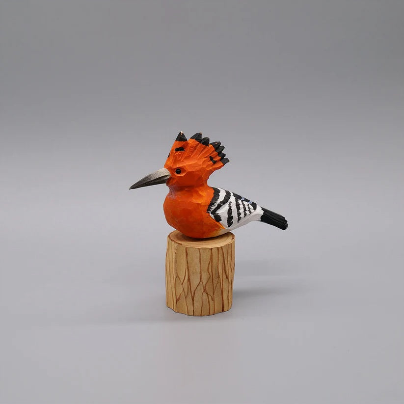 Hoopoe