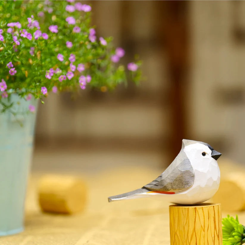Tufted Titmouse