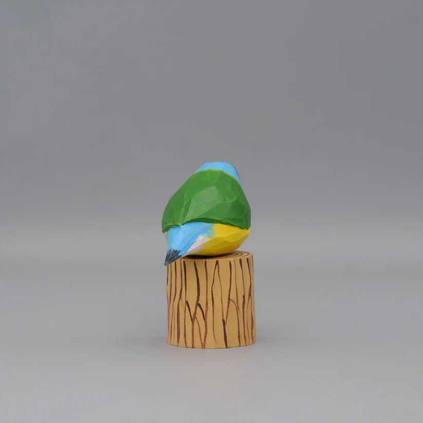 Gouldian Finch