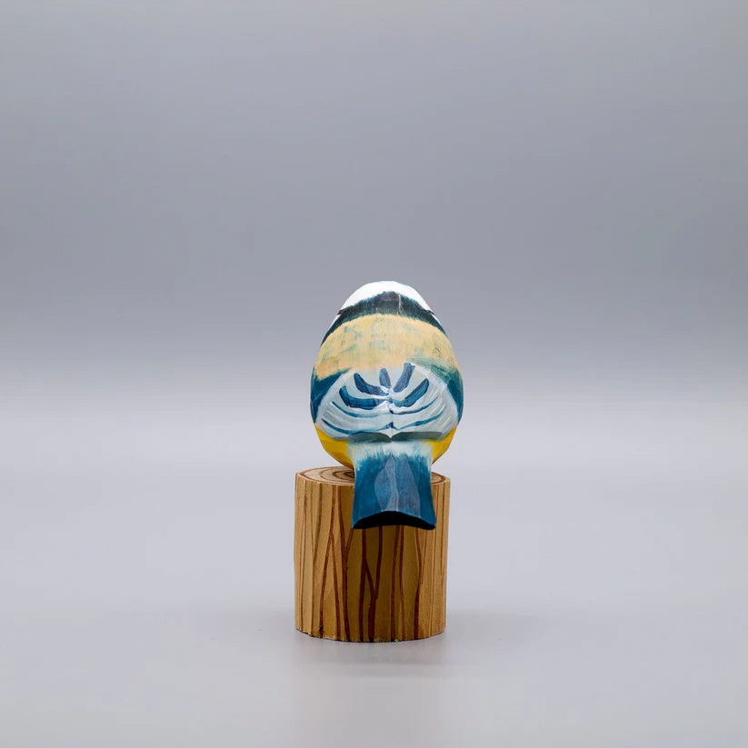 Blue Tit