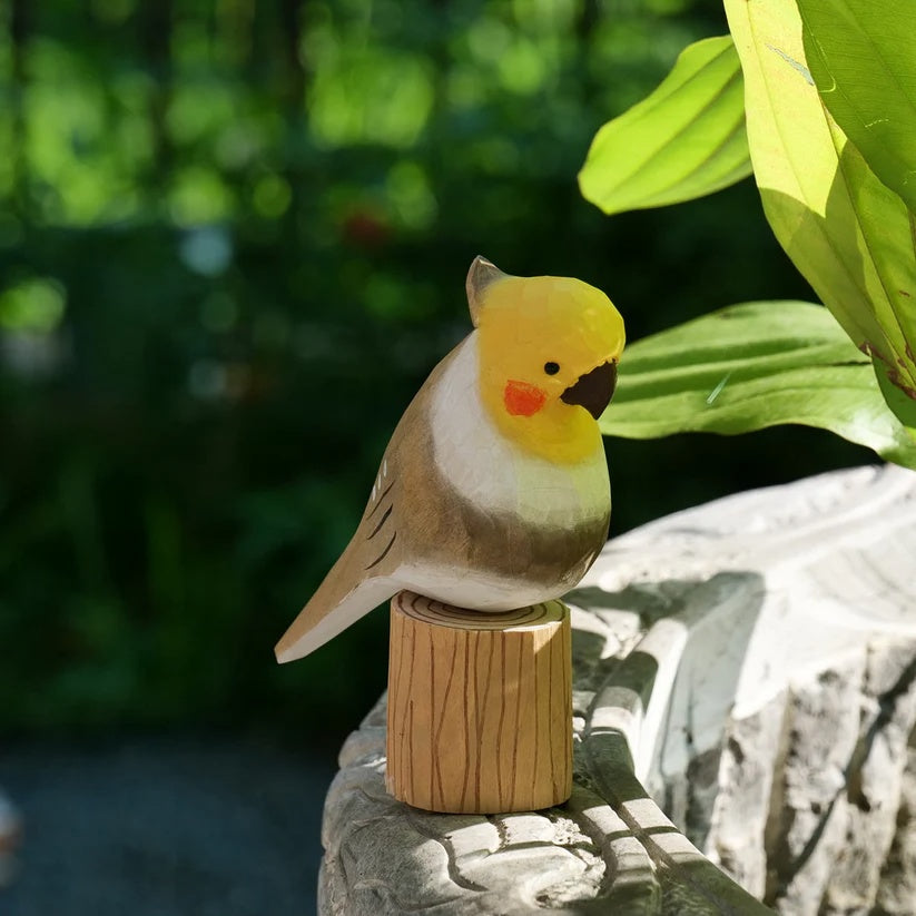 Grey Cockatiel