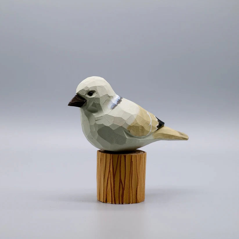 Dove