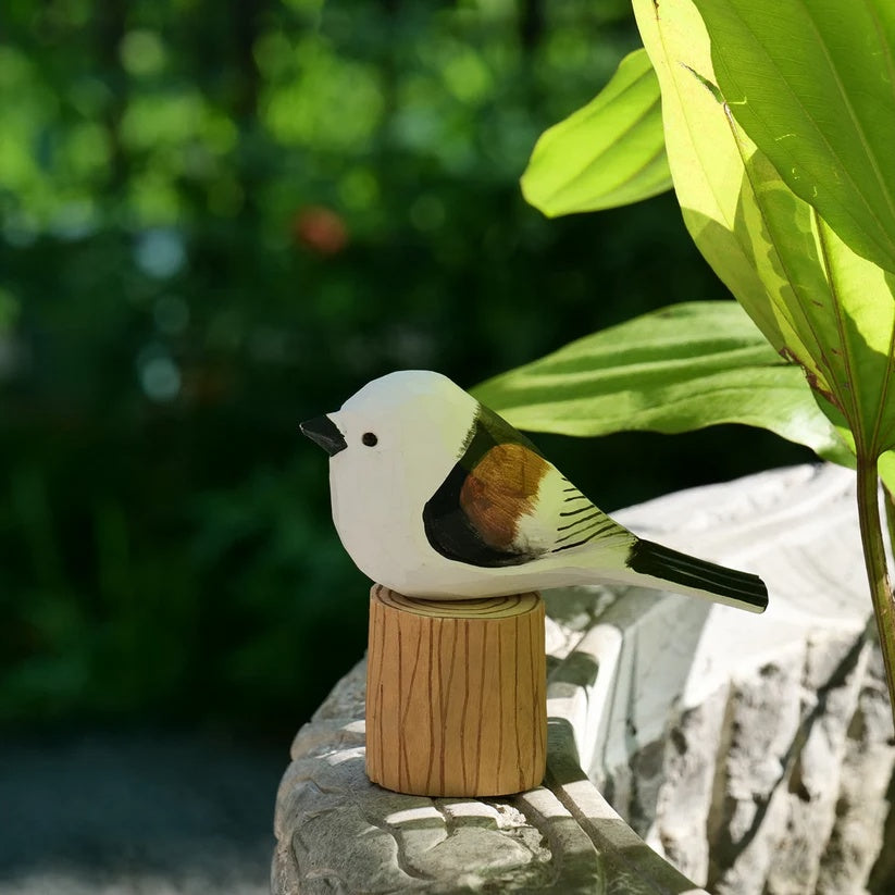 Long-Tailed Tit